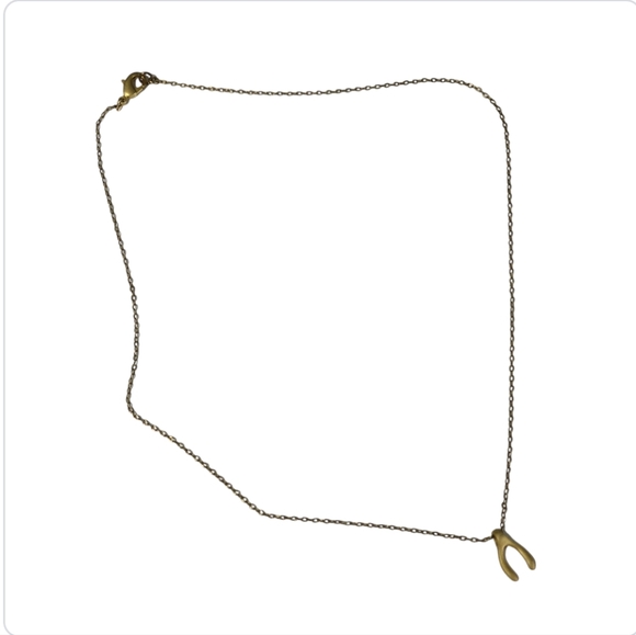 Natalie Borton Jewelry - Natalie Borton horseshoe charm necklace gold tone